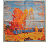 Pashmina.cz