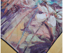 Pashmina.cz