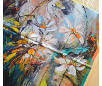 Pashmina.cz