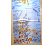 Pashmina.cz
