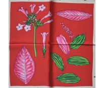 Pashmina.cz